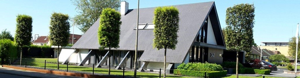 De mooiste steeneiken en kurkeiken koopt u gewoon online